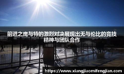 bsports必一体育
