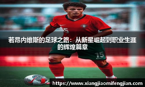 bsports必一体育