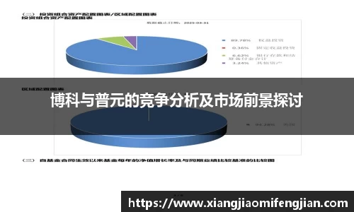 博科与普元的竞争分析及市场前景探讨