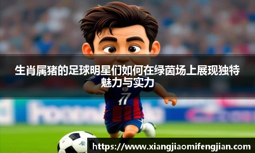 生肖属猪的足球明星们如何在绿茵场上展现独特魅力与实力