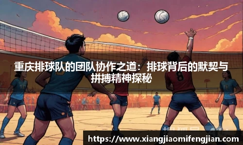 重庆排球队的团队协作之道:排球背后的默契与拼搏精神探秘