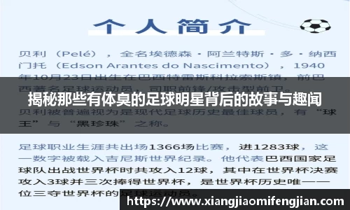 bsports必一登录入口